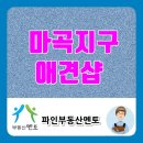 독살롱 다듬 이미지