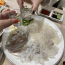 식이네 이미지