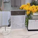 뷰티초이스 | 김포 피부관리 초이스뷰티 후기｜건조·붉은기·블랙헤드 한번에 해결✨