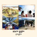 타임 | 일본 후쿠오카 일일투어 사파리 인타임투어 후기 정보