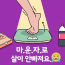 마운자로 맞는데 살 안빠지는 이유? 6개월 후기 총정리
