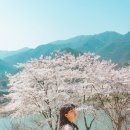 하동 이미지
