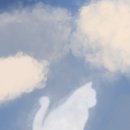 플브들 구름 배경화면🤍 이미지