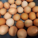 어린이 합창단<작은 음악회> | 극동방송국 어린이 합창단 떡볶이 봉사 후기, 사랑을 담아 만든 간식