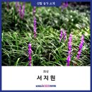 서지원농장 네이버블로그