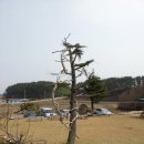 솔향기길 나오리공방 이미지