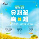 코스모스길14번길 이미지