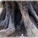 와흘본향당 이미지