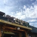 산성애견 이미지