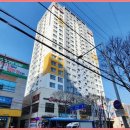 감삼동337 이미지