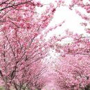 문수사 주차장 이미지