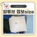 물놀이 준비템으로 최고! 스윔어바웃 암튜브 점보사이즈 실사용 후기