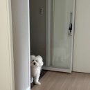 별에서 온 뿌꾸 네이버블로그