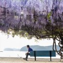 냉천어촌체험마을 이미지