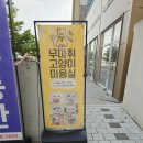 무마취 고양이 미용실 반할고양 이미지