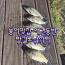 지정낚시터 | 애견동반 낚시터 후기 (방갈로 있음 / 주차 바로 앞 가능)