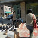 무궁화로_3 이미지