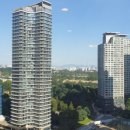 라오삐약 이미지