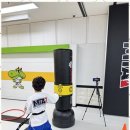 엠티에이태권도 이미지