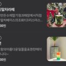 장고목 이미지