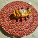 중앙접시 | 안산 중앙역 맛집 모든 접시 1500원 가성비 회전초밥 스시락 후기