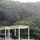 호텔나인스톤 | 리솜 레스트리 포레스트 스파 해브나인 스파 솔직후기 서울근교 힐링 하기 좋은 여행