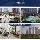광진시니어클럽 이미지