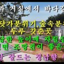 태안부동산공인중개사사무소 이미지