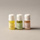 택소프트 이미지