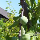 고암성산대로 이미지