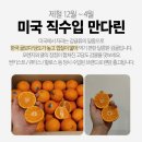 하귤 네이버블로그