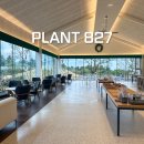 제주 아라동 카페 플랜트827 자연인제주 족욕