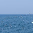 예동발전소 이미지