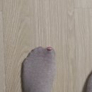 아집상사 | 아 뭐가 그리 샘이 났길래 그토혹 휘몰아쳤던가