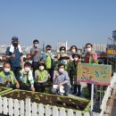 해뜰농장 이미지