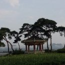 용무정 Daum카페