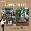 충남 아산 아이와] 생태곤충원 그린타워 전망대 방문 후기