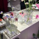 청전대로 | 신상 제천꽃집 제천화분 예쁜 곳 아말피가든 후기