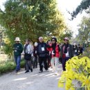 태안군문화예술회관 대공연장 이미지