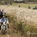 제주관광 승마 네이버블로그