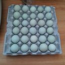 여주-1062 이미지