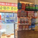 김나현의 묘견생활 이미지