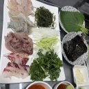 싱싱막회 이미지
