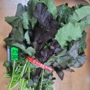 옥터농장 이미지