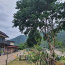 금모래민박 이미지