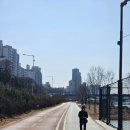 섬밭길 이미지