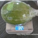 대붕농장