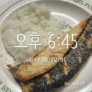 광교헬스 이공라인 광교10회차 후기 (체지방률 21%, -4%)
