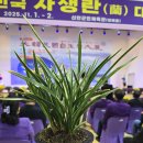 신안군민체육관 체육관 이미지