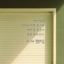 영광의 빛 이미지